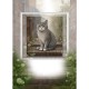 MAGNE-CARD GREETING CARD Cats 3